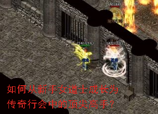 如何从新手女道士成长为传奇行会中的顶尖高手? 如何从新手女道士成长为传奇行会中的顶尖高手?