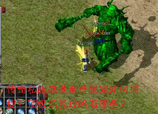 传奇私服盛世至尊战宠如何捕捉?顶级培养攻略有哪些? 传奇私服盛世至尊战宠如何捕捉?顶级培养攻略有哪些?