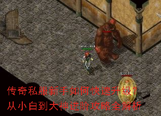 传奇私服新手如何快速升级?从小白到大神进阶攻略全解析 传奇私服新手如何快速升级?从小白到大神进阶攻略全解析