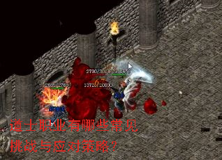 道士职业有哪些常见挑战与应对策略? 道士职业有哪些常见挑战与应对策略?