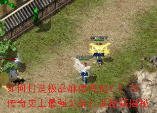 如何打造极品麻痹戒指?1.76传奇史上最强装备打造秘籍揭秘 如何打造极品麻痹戒指?1.76传奇史上最强装备打造秘籍揭秘