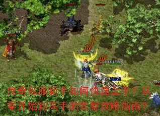 传奇私服新手如何快速上手?从零开始到高手的完整攻略指南? 传奇私服新手如何快速上手?从零开始到高手的完整攻略指南?