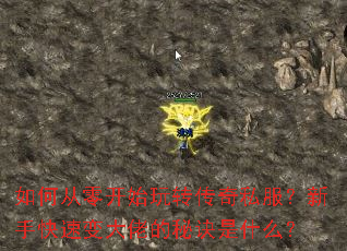 如何从零开始玩转传奇私服?新手快速变大佬的秘诀是什么? 如何从零开始玩转传奇私服?新手快速变大佬的秘诀是什么?