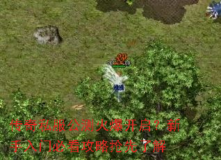 传奇私服公测火爆开启?新手入门必看攻略抢先了解 传奇私服公测火爆开启?新手入门必看攻略抢先了解