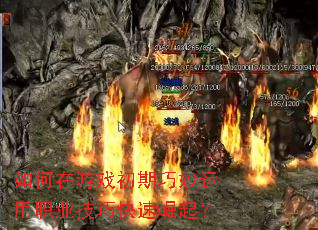 �������Ϸ������������ְҵ���ɿ�������