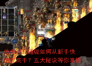 ����sf��ͨ����δ����ֿ��ٱ���֣�����ؾ���������