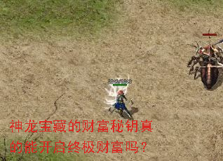 神龙宝藏的财富秘钥真的能开启终极财富吗? 神龙宝藏的财富秘钥真的能开启终极财富吗?
