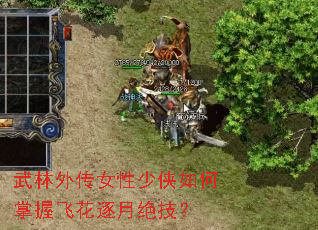 �����⴫Ů������������շɻ����¾�����