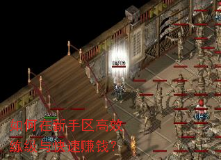 如何在新手区高效练级与快速赚钱? 如何在新手区高效练级与快速赚钱?