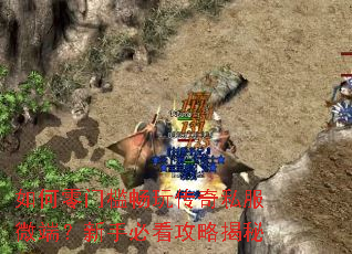 如何零门槛畅玩传奇私服微端?新手必看攻略揭秘 如何零门槛畅玩传奇私服微端?新手必看攻略揭秘