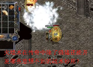 ��ǽ���ڴ����г����������ܿ�����Щ���벻����ս�����ã�