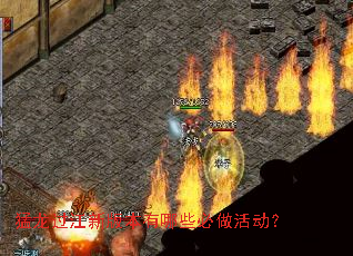 ���������°汾����Щ�������