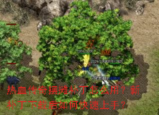 ��Ѫ�����̯������ô�ã��²������غ���ο������֣�