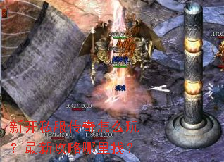 �¿�˽��������ô�棿���¹��������ң�