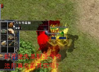 �¿���ʧ��ְҵ���淨ʦ��������ʵ��