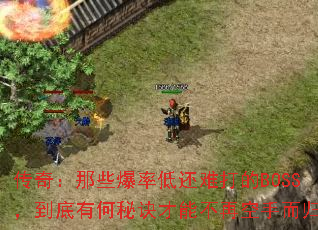 ���棺��Щ���ʵͻ��Ѵ��BOSS�������к��ؾ����ܲ��ٿ��ֶ��飿