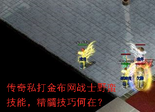 ����˽�����սʿҰ�����ܣ����輼�ɺ��ڣ�