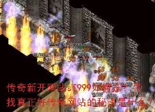 �����¿���վsf999���ѡ��Ѱ�������ô�����վ���ؾ���ʲô��