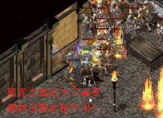 魔龙之血的力量真是超越极限的秘密吗? 魔龙之血的力量真是超越极限的秘密吗?