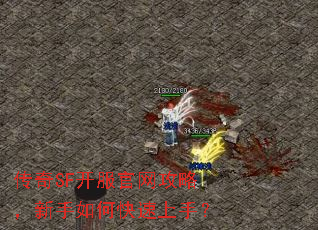 传奇SF开服官网攻略,新手如何快速上手? 传奇SF开服官网攻略,新手如何快速上手?
