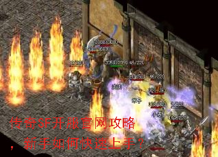 传奇SF开服官网攻略,新手如何快速上手? 传奇SF开服官网攻略,新手如何快速上手?