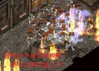 传奇SF开服官网攻略,新手如何快速上手? 传奇SF开服官网攻略,新手如何快速上手?