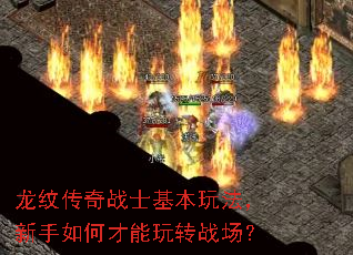 龙纹传奇战士基本玩法,新手如何才能玩转战场? 龙纹传奇战士基本玩法,新手如何才能玩转战场?