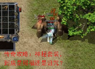 ���湥�ԣ�������װ�������Ǵ͸��������䣿