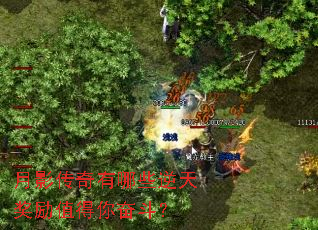 月影传奇有哪些逆天奖励值得你奋斗? 月影传奇有哪些逆天奖励值得你奋斗?