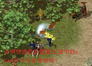 如何快速找到盟重土城中的zhaosifu与龙骨坐标? 如何快速找到盟重土城中的zhaosifu与龙骨坐标?