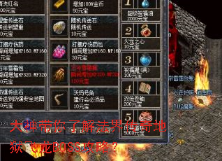 ��������˽ⷨ�紫���������BOSS���ԣ�