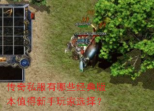 ����˽������Щ����汾ֵ���������ѡ��