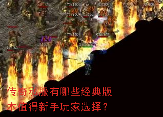 ����˽������Щ����汾ֵ���������ѡ��