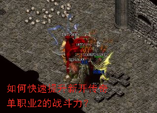 ��ο��������¿����浥ְҵ2��ս������