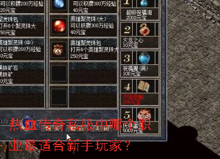 热血传奇私服中哪个职业最适合新手玩家? 热血传奇私服中哪个职业最适合新手玩家?