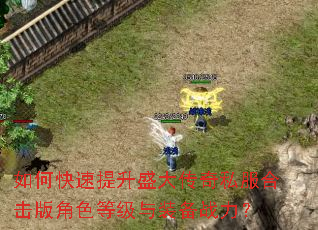 如何快速提升盛大传奇私服合击版角色等级与装备战力? 如何快速提升盛大传奇私服合击版角色等级与装备战力?