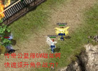 ���湫���GM����ο���������ɫս����