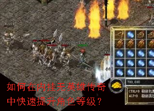 如何在内挂无英雄传奇中快速提升角色等级? 如何在内挂无英雄传奇中快速提升角色等级?