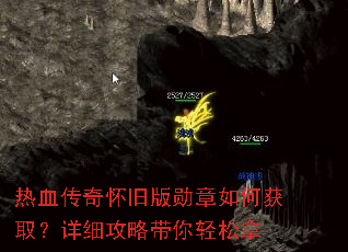 ��Ѫ���滳�ɰ�ѫ����λ�ȡ����ϸ���Դ���������