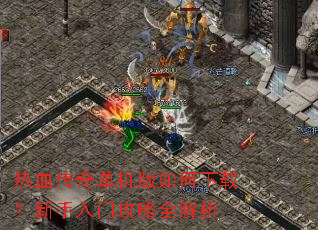 ��Ѫ���浥����������أ��������Ź���ȫ����