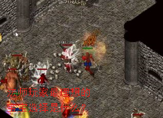 法师玩家最理想的宝宝选择是什么? 法师玩家最理想的宝宝选择是什么?