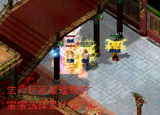 法师玩家最理想的宝宝选择是什么? 法师玩家最理想的宝宝选择是什么?