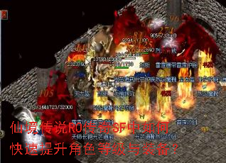仙境传说RO传奇SF中如何快速提升角色等级与装备? 仙境传说RO传奇SF中如何快速提升角色等级与装备?