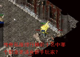 传奇私服排行榜前十名中哪个职业更适合新手玩家? 传奇私服排行榜前十名中哪个职业更适合新手玩家?
