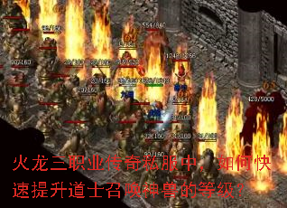 ������ְҵ����˽���У���ο���������ʿ�ٻ����޵ĵȼ���