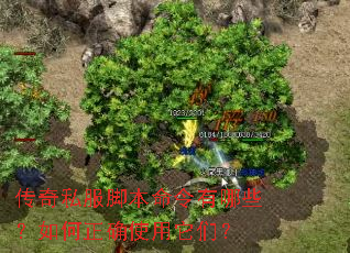 传奇私服脚本命令有哪些?如何正确使用它们? 传奇私服脚本命令有哪些?如何正确使用它们?