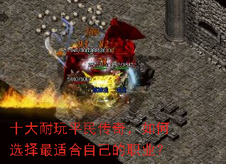 ʮ������ƽ���棬���ѡ�����ʺ��Լ���ְҵ��
