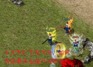 ʮ������ƽ���棬���ѡ�����ʺ��Լ���ְҵ��