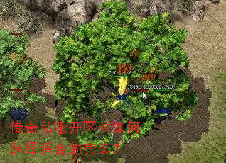 ����˽������ʱ���ѡ���ʺϵ���װ��
