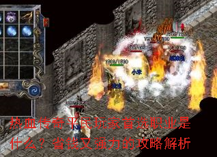 ��Ѫ����ƽ�������ѡְҵ��ʲô��ʡǮ��ǿ���Ĺ��Խ���
